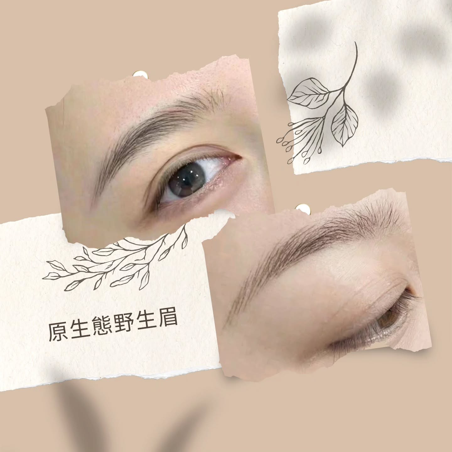原生態野生眉